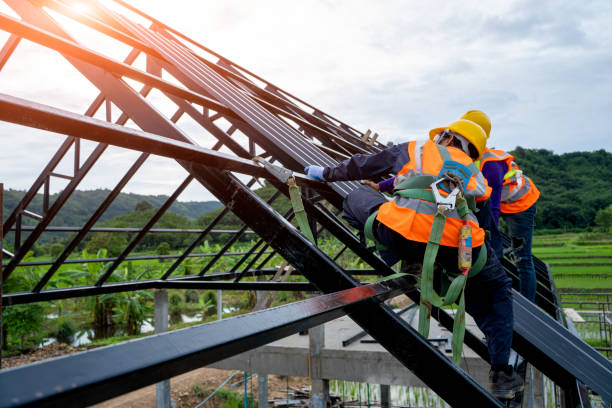 Best Flat Roof Repair Services  in Dawson, MN