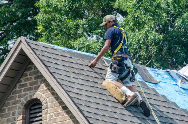 Best Emergency Roof Repair  in Dawson, MN